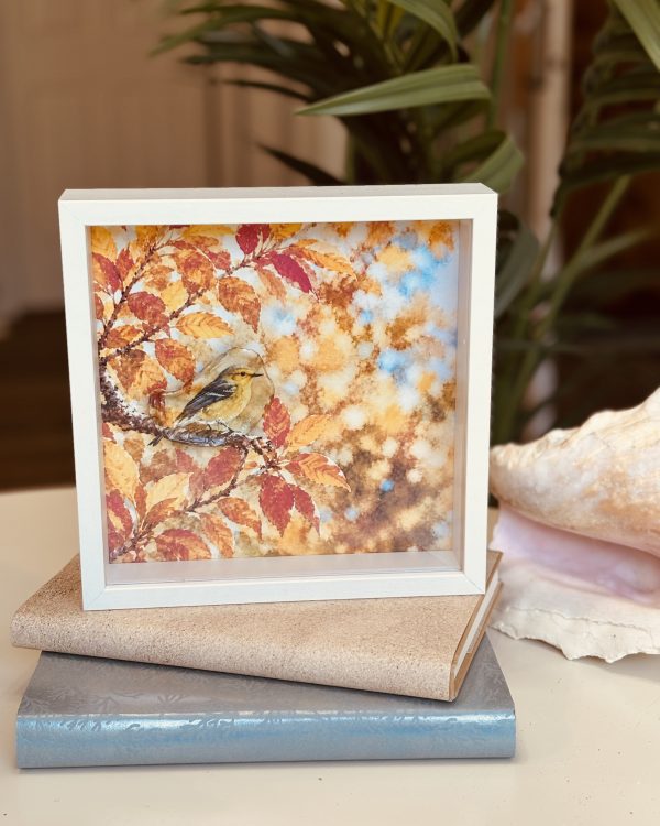 Shadow Box — view 9