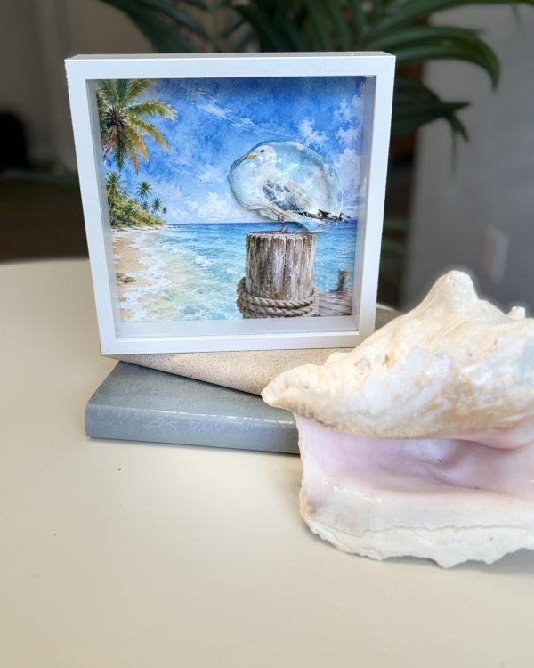 Shadow Box — view 6